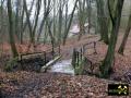 Teufelssee im Hammertal bei Bad Freienwalde, Märkisch-Oderland, Brandenburg, (D) (3) 25. Januar 2015.JPG